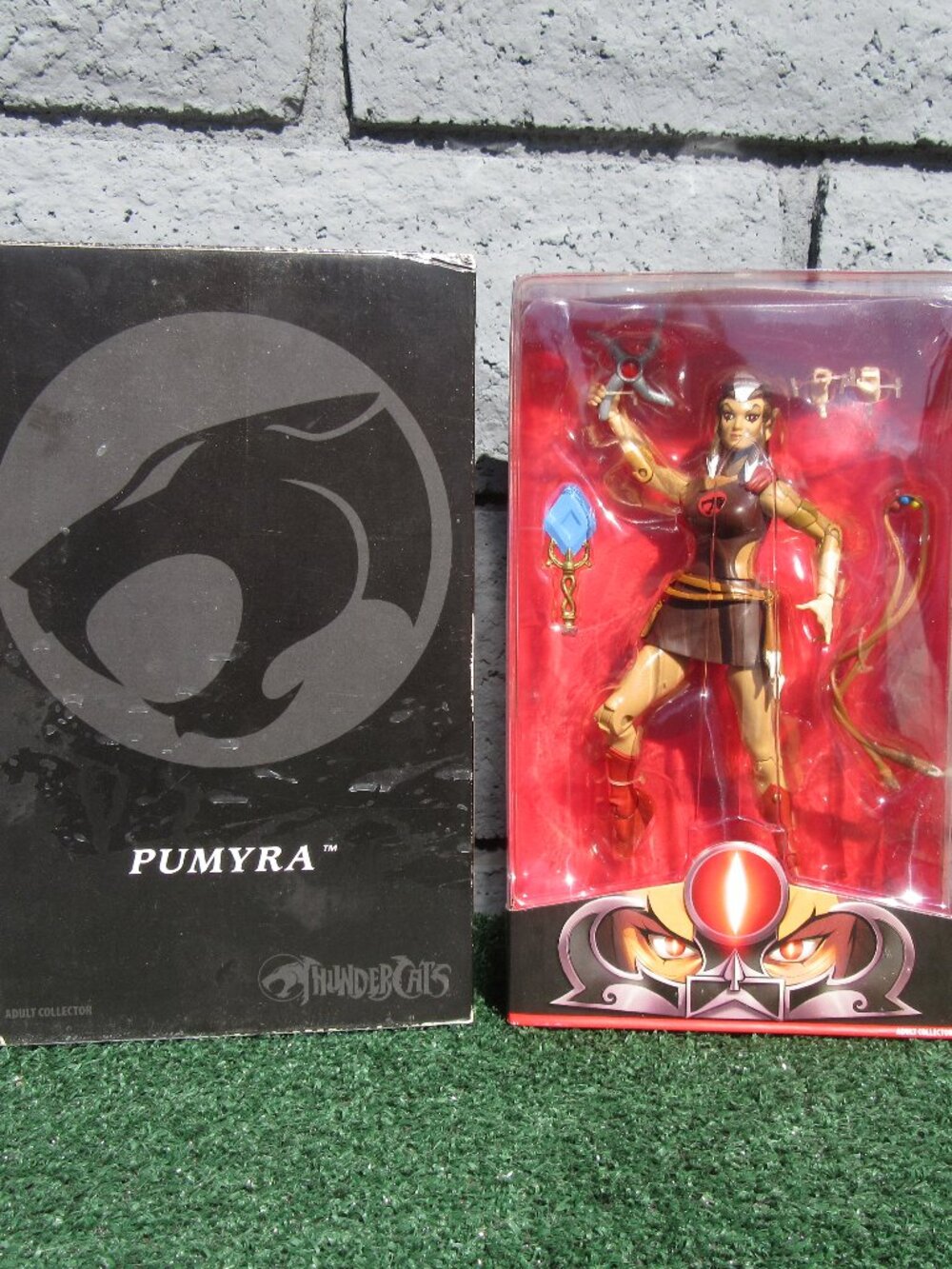 Brand New Mattel Classics Thundercats Pumyra Action Figure Matty Collector